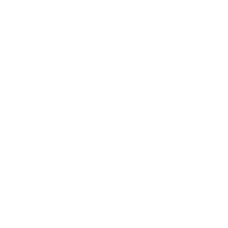 VScore Logo